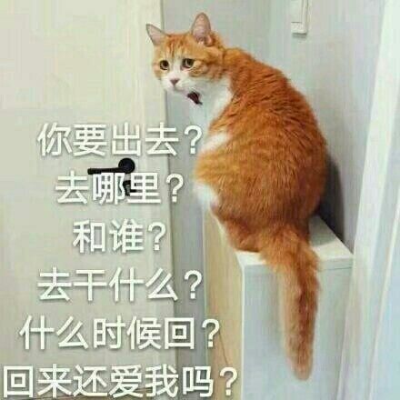 你要出去 去哪里 和谁 去干什么 什么时候回 回来还爱我吗表情包