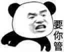 要你管表情包