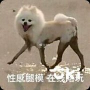 性感腿模表情包 性感腿模表情包