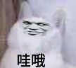 哇哦表情包