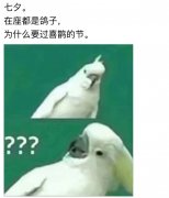 七夕来了表情包