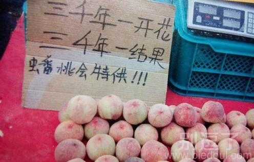 3、4年开花结果！还行啊！