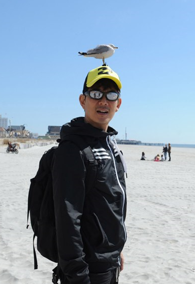 看看这只海鸟是不是很有爱呢 看看这只海鸟是不是很有爱呢