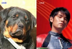 出名前与出名后。 出名前与出名后。