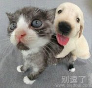 有情况的画面。。