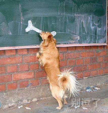 狗狗,你好萌啊。 狗狗,你好萌啊。