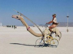 真正的骆驼牌自行车