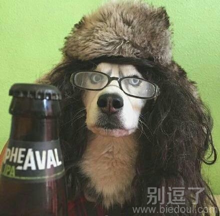 戴着眼镜的汪星人。