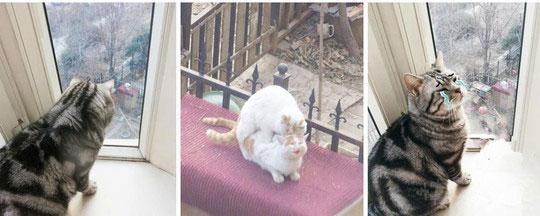 突然觉得我好可怜! 突然觉得我好可怜!