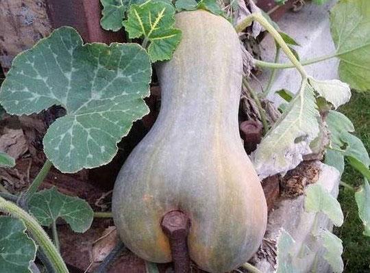 好友深意的图片！