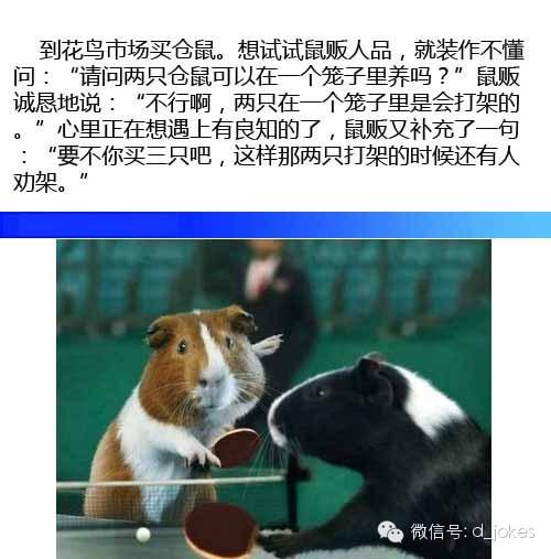 店家卖的一手好萌 店家卖的一手好萌