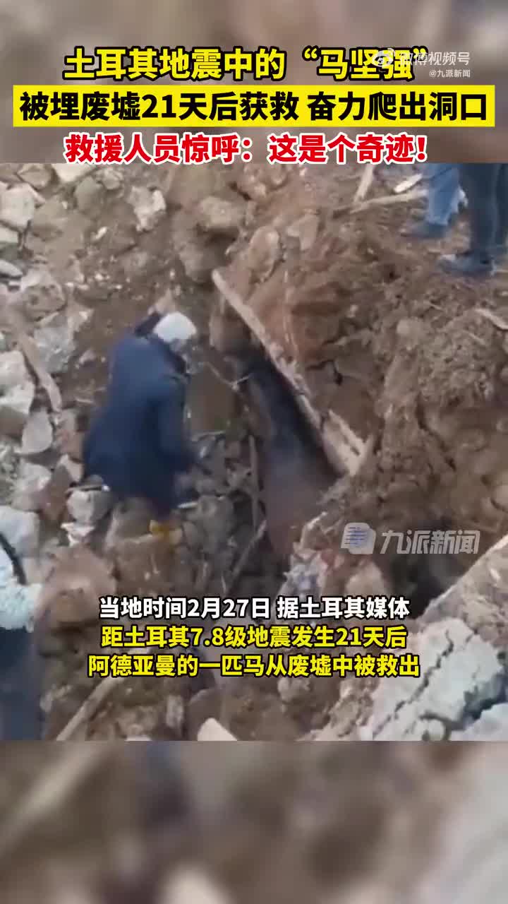 轻松一刻：这年头什么都钻，只会害了你……