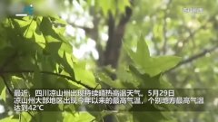 轻松一刻：女同事身体卡进椅子了，该如何取出来？