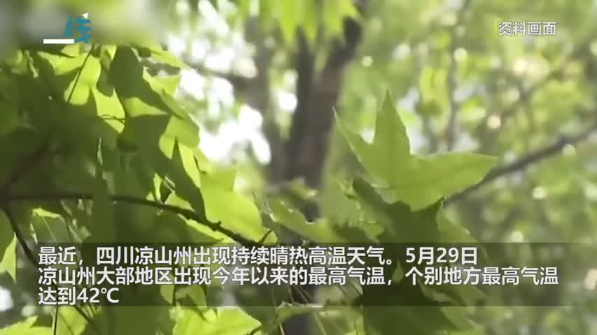 轻松一刻：女同事身体卡进椅子了，该如何取出来？