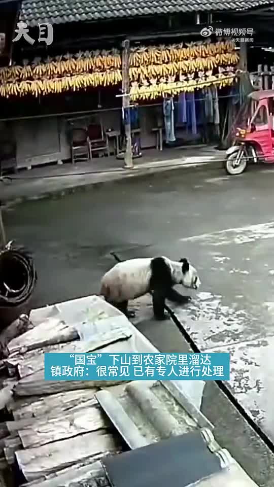 轻松一刻：果然，每年的沙雕都不会让人失望