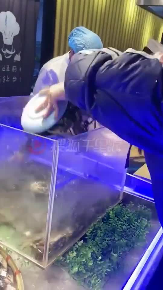 轻松一刻：果然，每年的沙雕都不会让人失望