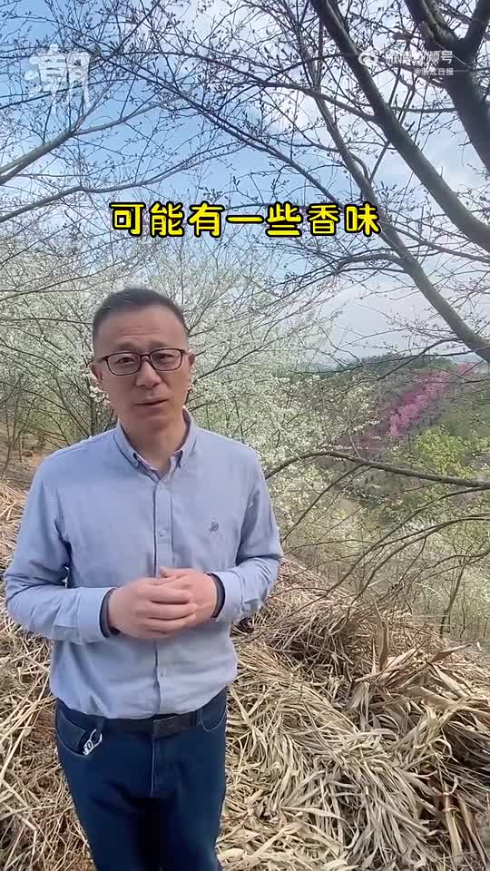 轻松一刻:敢喝少女口嚼酒,老嫂子的大蚕豆不敢吃？