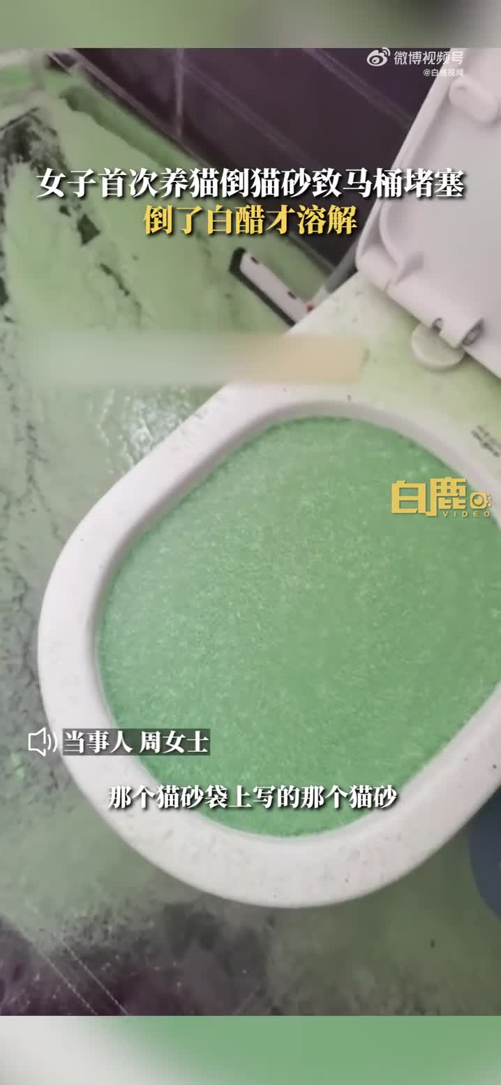 轻松一刻：原来每一个人的背后，都有三只鸡……