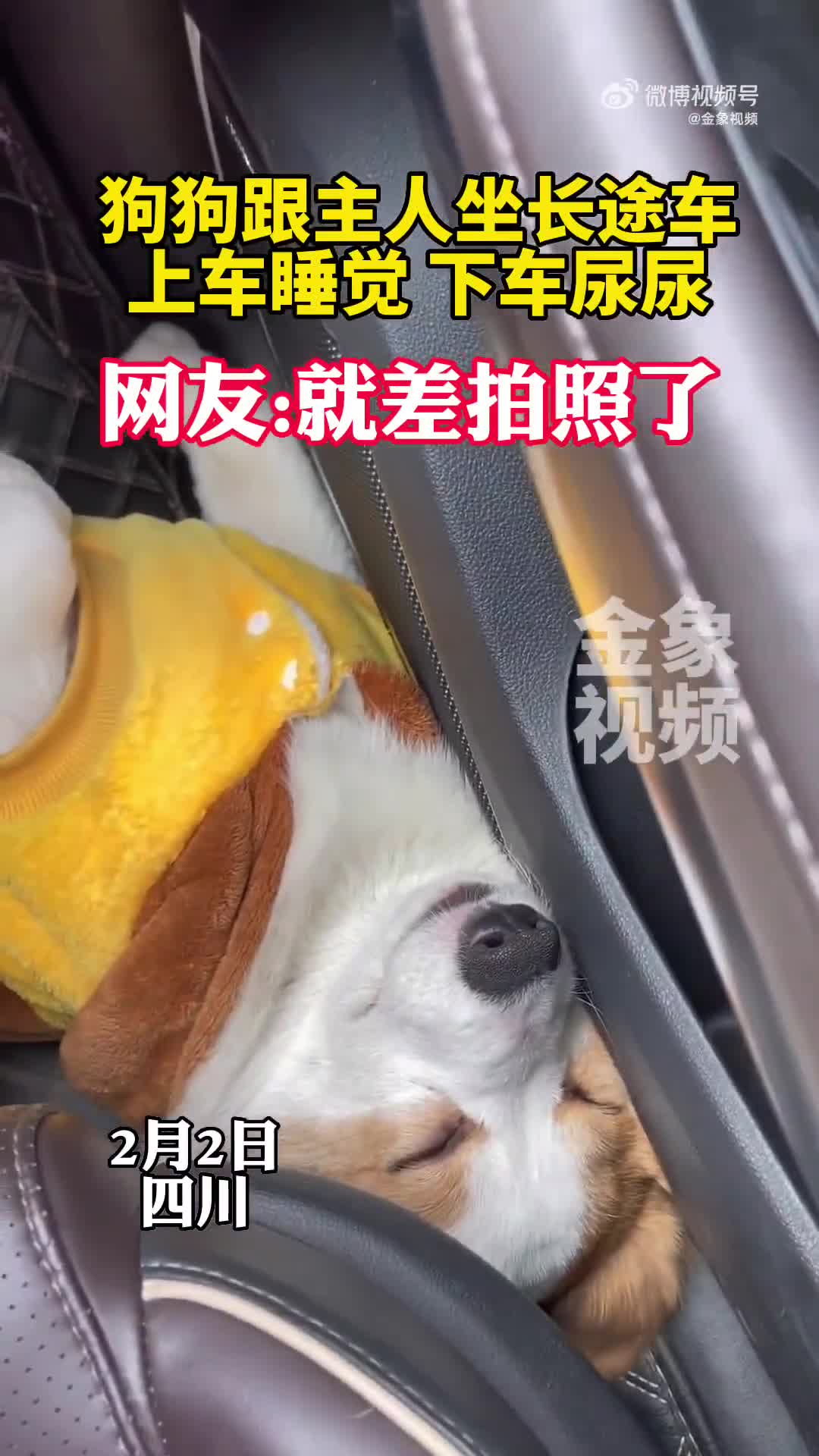 轻松一刻:24岁女孩看上了老光棍儿,大爷有福了! 轻松一刻:24岁女孩看上了老光棍儿,大爷有福了!