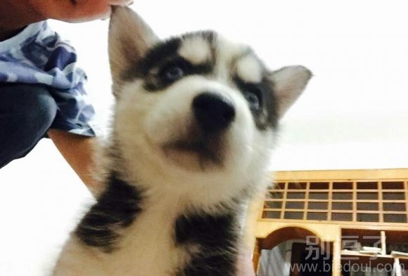 小宝贝在看什么呢