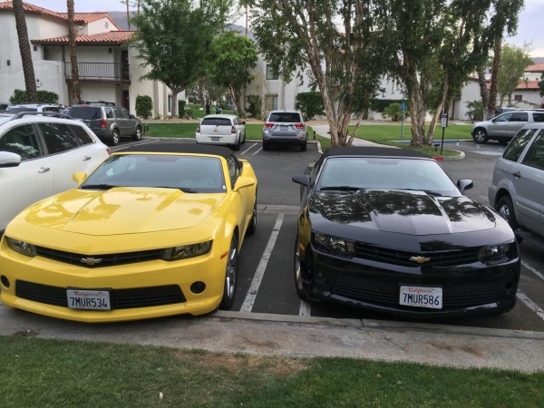 家里亲戚给介绍了一位对象 家里亲戚给介绍了一位对象