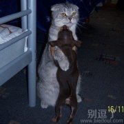 别难过,有我在!! 别难过,有我在!!