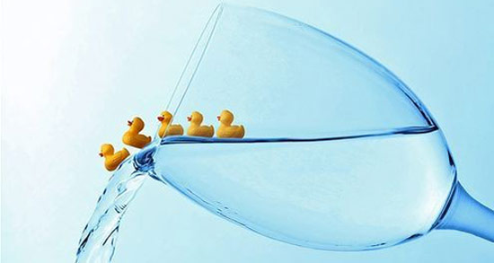 鱼和水的狂欢,幸福ing