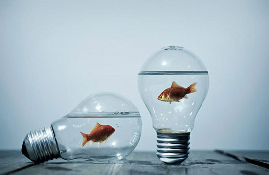 鱼和水的狂欢,幸福ing