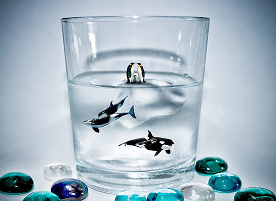 鱼和水的狂欢,幸福ing