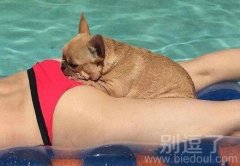 感觉自己还不如一只单身狗