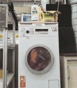 如何防止吃货偷吃