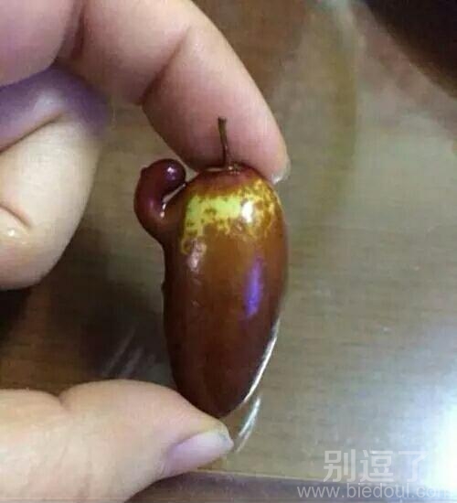 肌肉发达 的冬枣