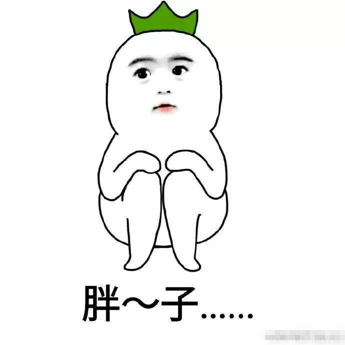 萌宠系列图：胖子的烦恼
