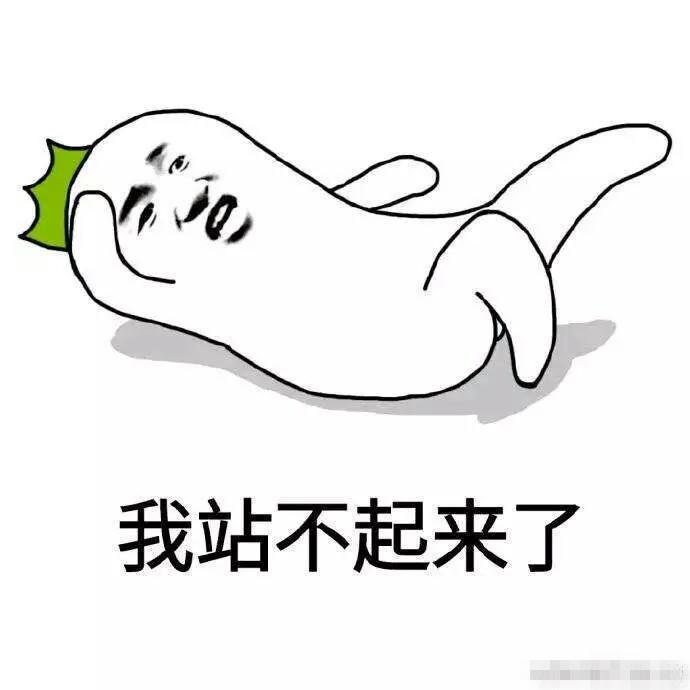 萌宠系列图：胖子的烦恼
