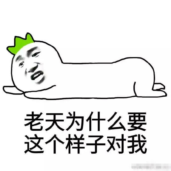 萌宠系列图：胖子的烦恼