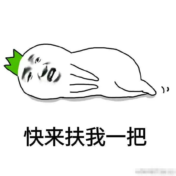 萌宠系列图：胖子的烦恼