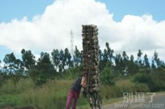 高技术，高风险额