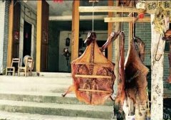 这个是店里的标志吗