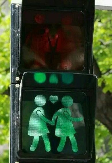 这让单身狗怎么过 这让单身狗怎么过