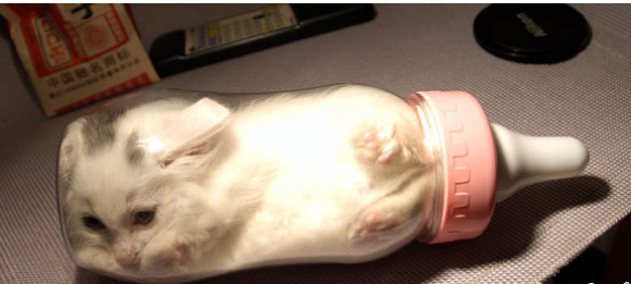 你家的可以么 你家的可以么