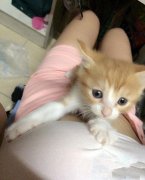 这无辜的小眼神 这无辜的小眼神