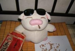 有一次我打开一个厕所隔间的门，地上有一堆瓜子儿皮兴致真好啊