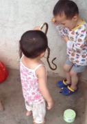 熊孩子孩子胆子都这么大