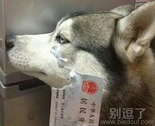 是身份证先动手的！