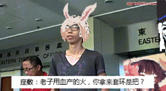 两个zz 的战争