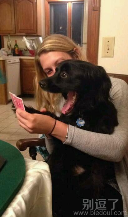 狗狗,你暴露了→_→ 狗狗,你暴露了→_→