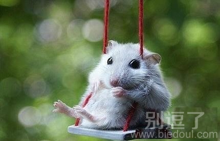 Good morning! Good morning!