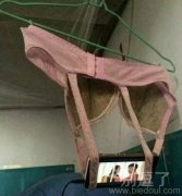 连手机支架都省了