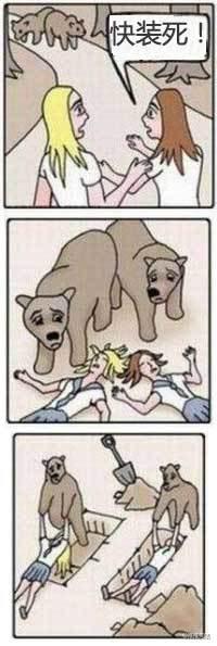 热心肠的熊,悲剧了吧 热心肠的熊,悲剧了吧