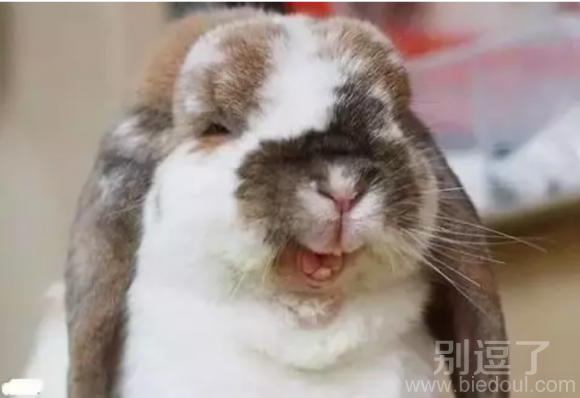 看这表情，是脱单了吗